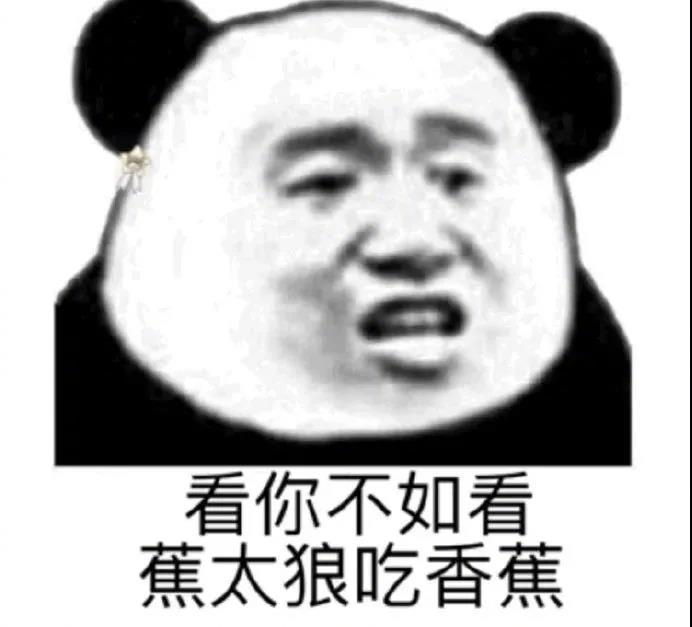 没事别打扰我 我要冬眠了表情包