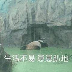 我上去就是一巴掌