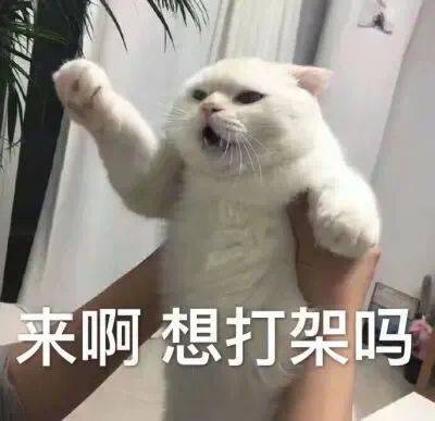 好歹我也可可爱爱