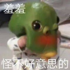 被伤过的心就像玻璃碎片