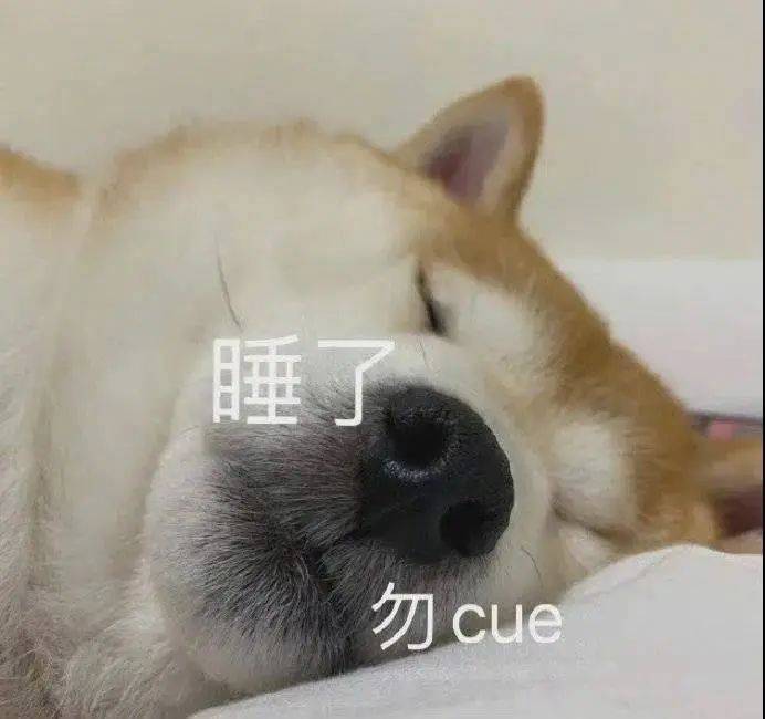 睡了  勿cue表情包