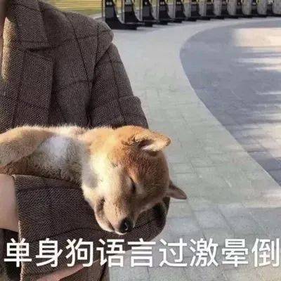 单身狗语言过激晕倒