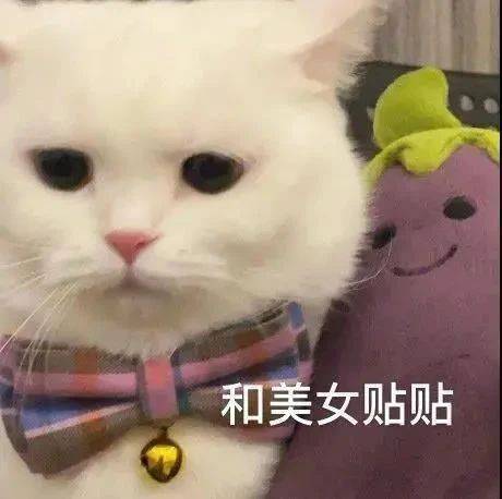 现在还没有起来的是大懒猪