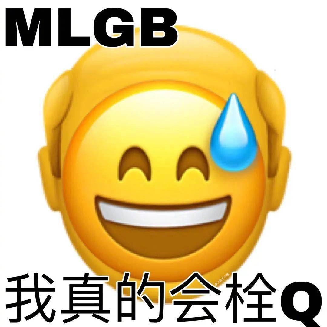 MLGB 我真的会栓Q表情包