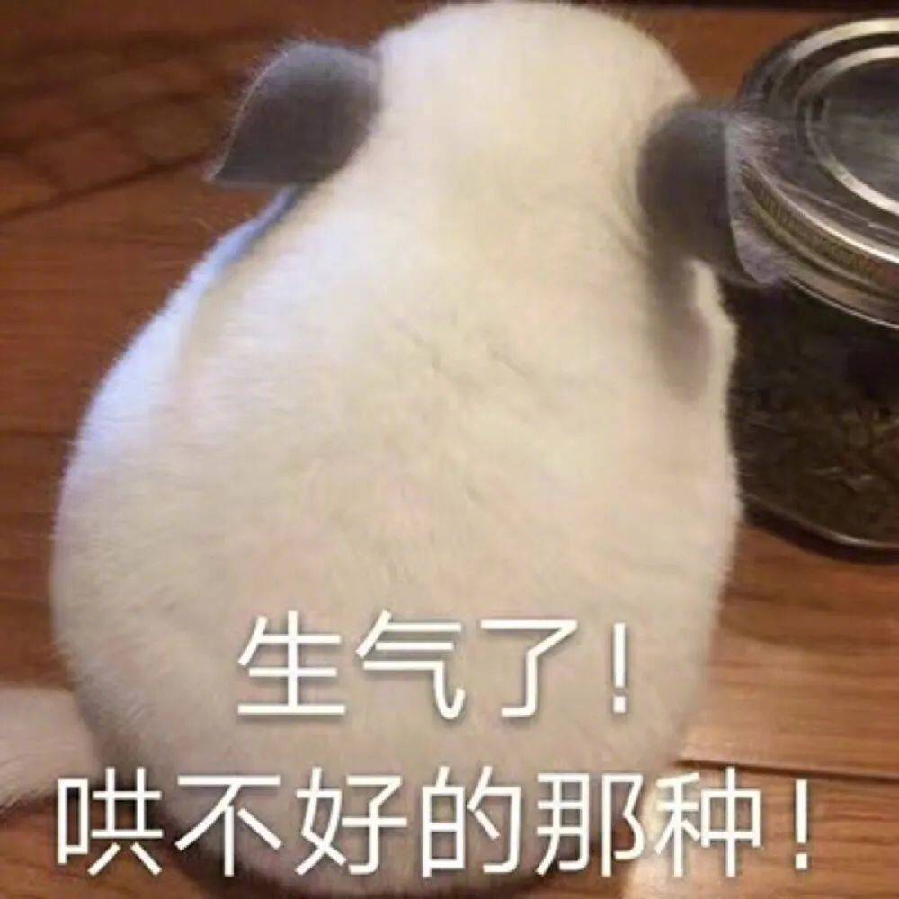 摆烂了  爱咋咋地表情包