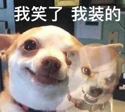 我笑了  我装的表情包