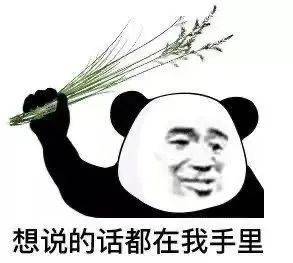 想说的话都在我手里