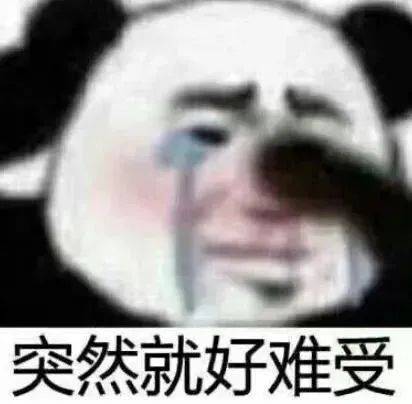 咋滴啦 有意见啊表情包