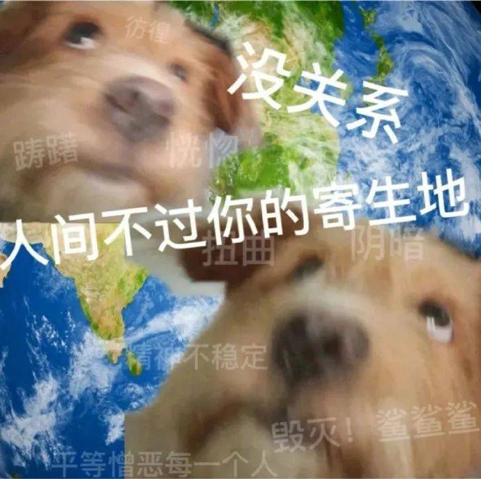 没关系  人间不过你的寄生地表情包