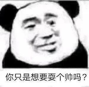 你只是想要耍个帅吗？表情包