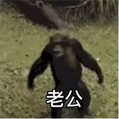 别找借口 快去看书表情包