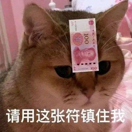 怎么又凶我呐