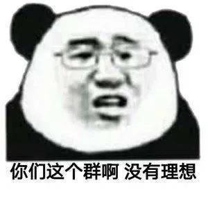 你们这个群啊 没有理想