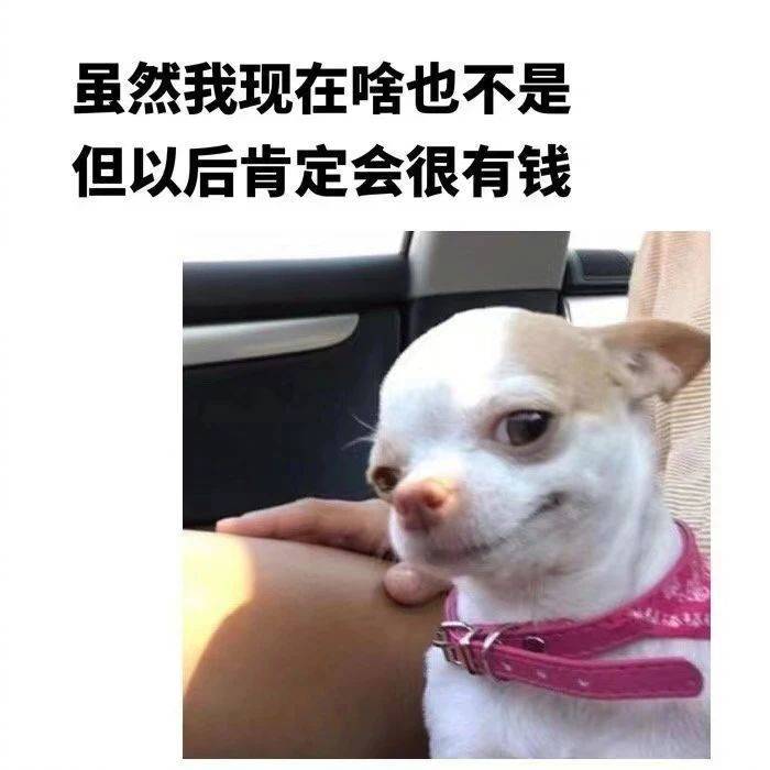 奇怪的知识增加了！表情包