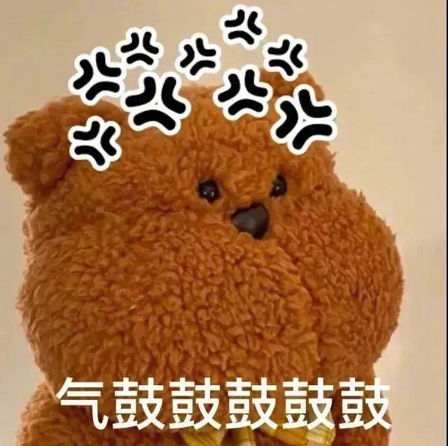 Hi  可以原谅我吗表情包