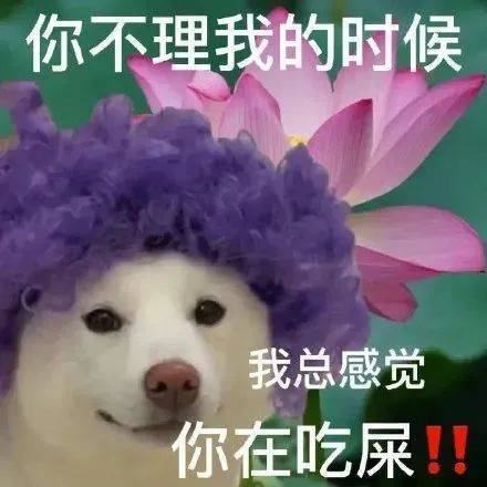 聊五毛钱的天表情包