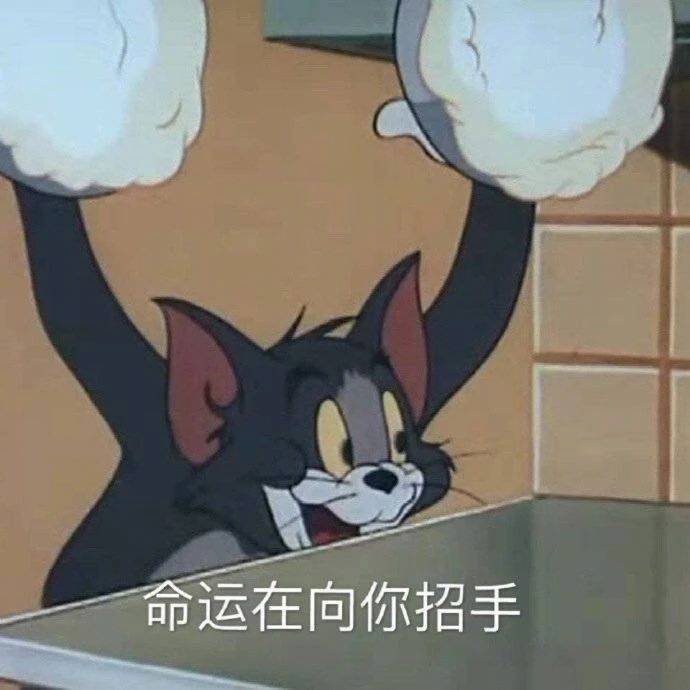 命运在向你招手表情包