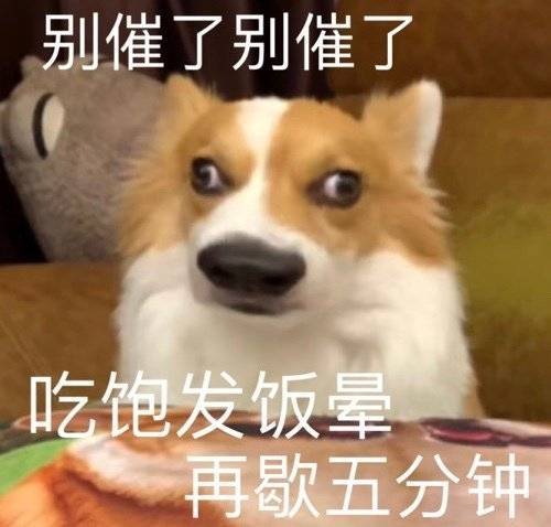 谈什么恋爱  是以为自己很好看吗表情包