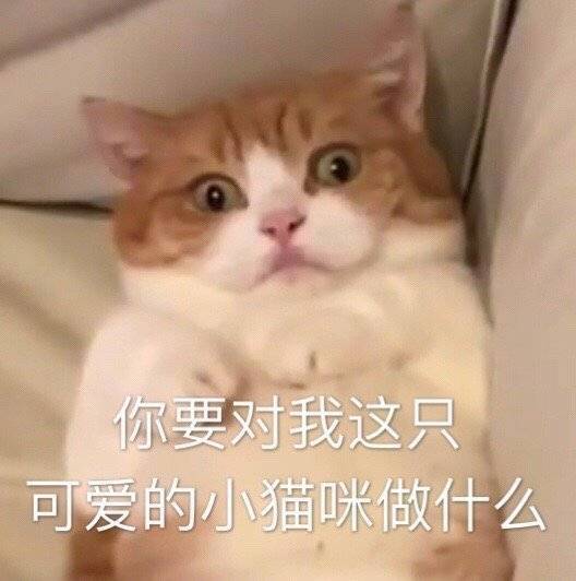 我是不是有点胖胖表情包