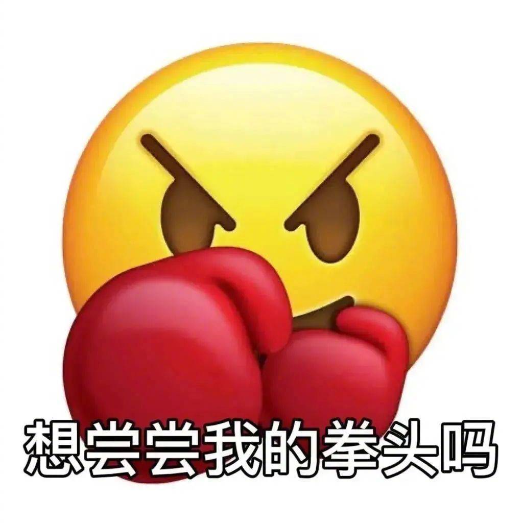 想尝尝我的拳头吗表情包