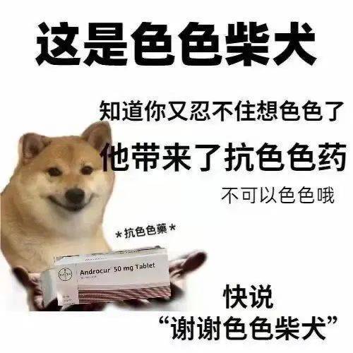 开心小狗  不请自来表情包