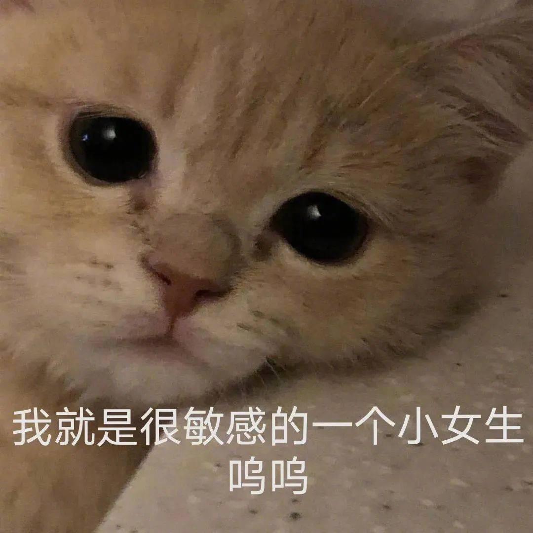 我已经猜透了你的小心思表情包