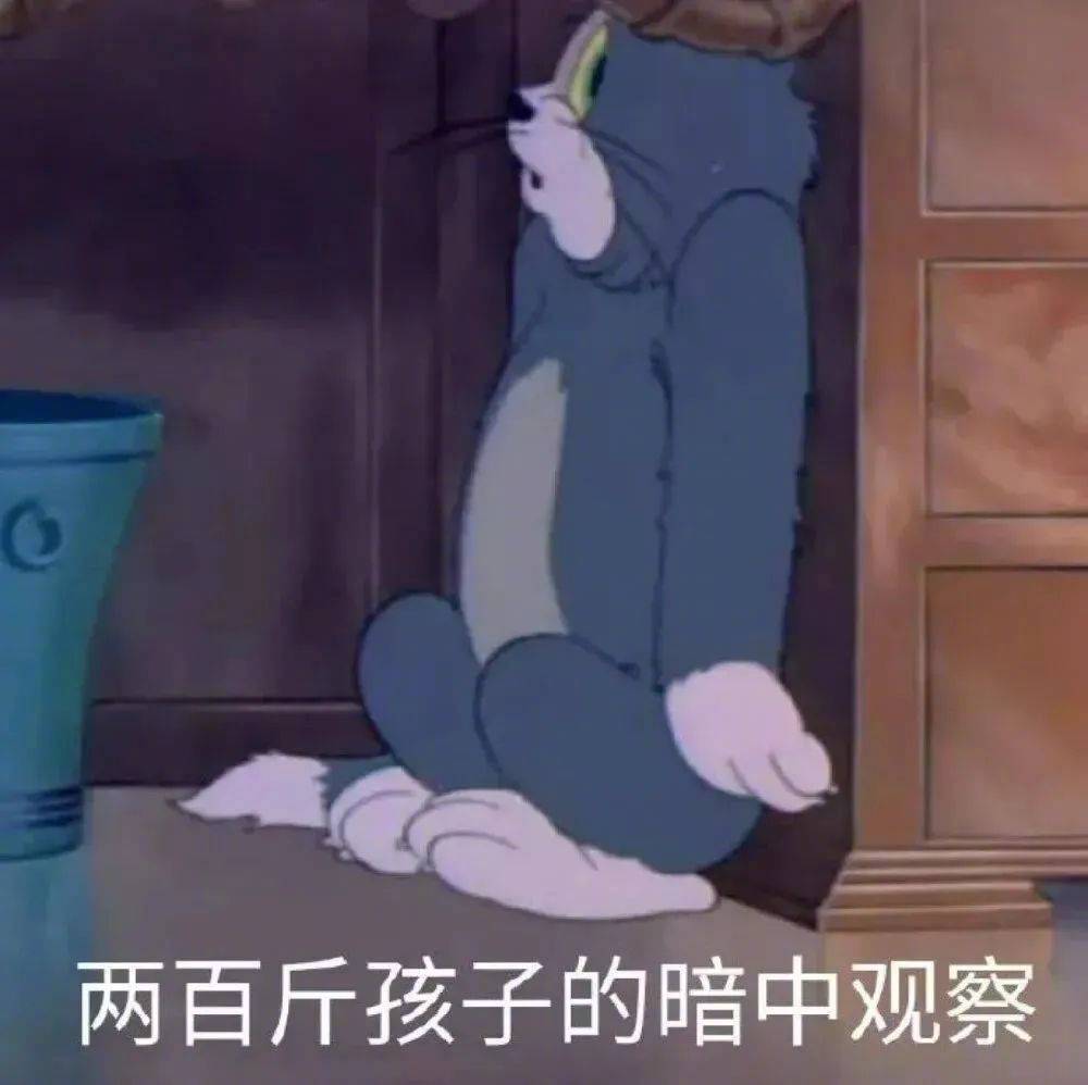 我小白兔绝不认输