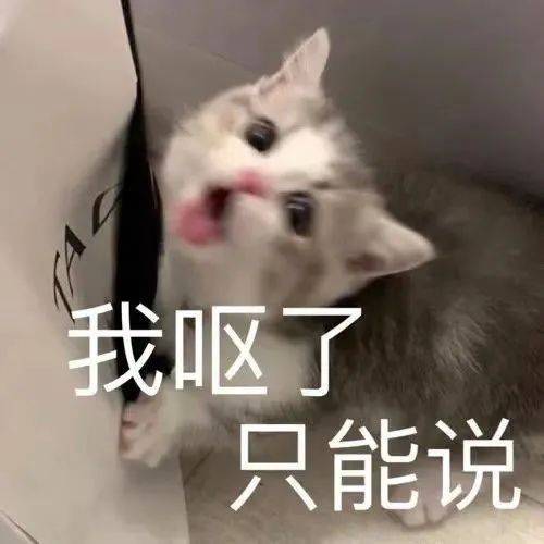 舍得回消息了？