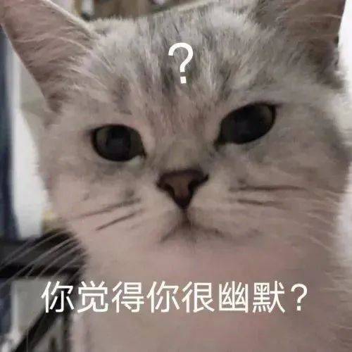 你觉得你很幽默？