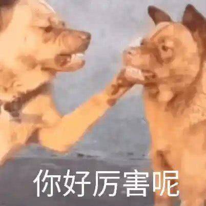 心动指数上升了表情包