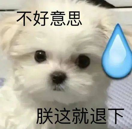 不好意思  朕这就退下表情包