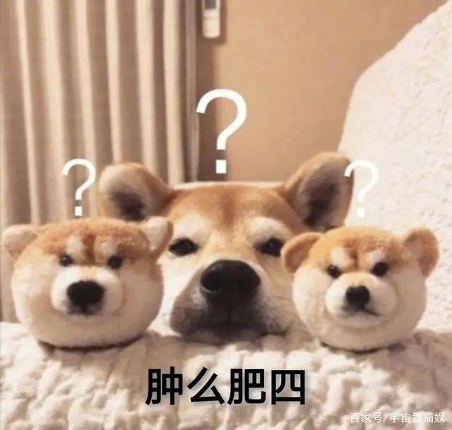 ？？？肿么肥四