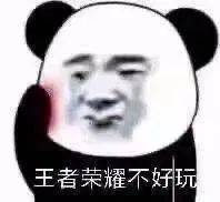 全网无前任  有也不承认表情包