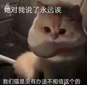 对不起 我是单身狗