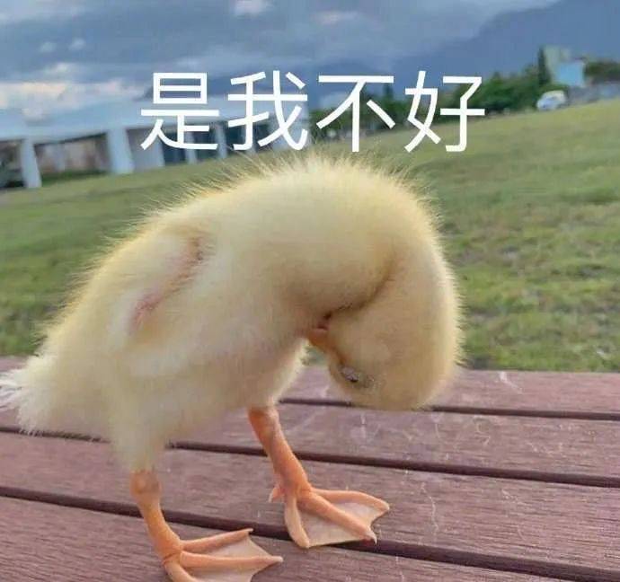 为难一只狗勾 会让你快乐吗