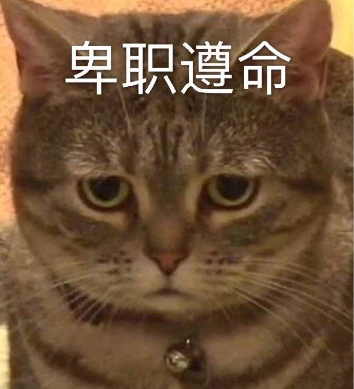 要跟我功夫熊猫比划比划吗表情包