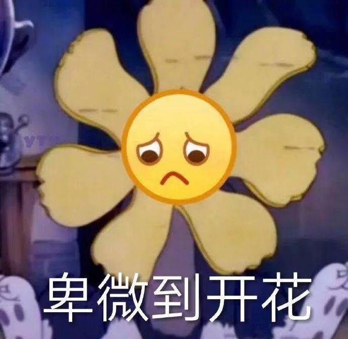 卑微到开花表情包