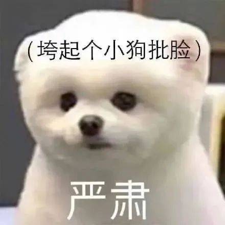 一拳打爆你狗头