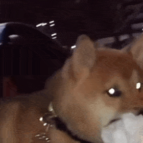 偷偷滴笑