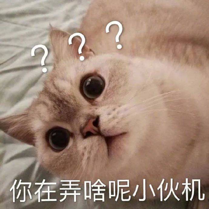 生而为人  我很好色表情包