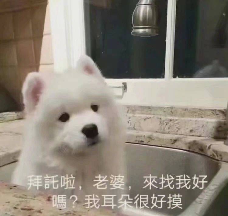 老婆怎么还不来接我呀