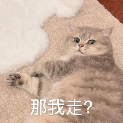 可以请我吃饭吗？表情包