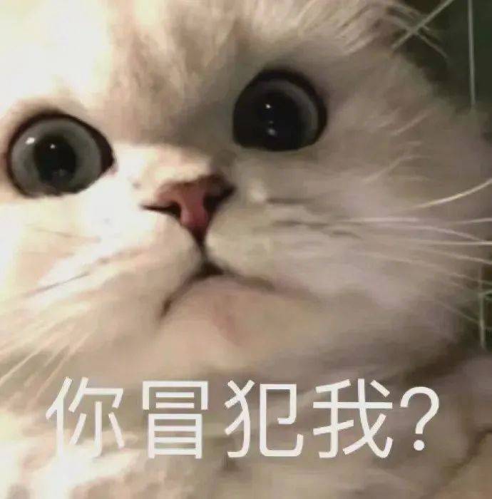 小猫咪也会有烦恼表情包