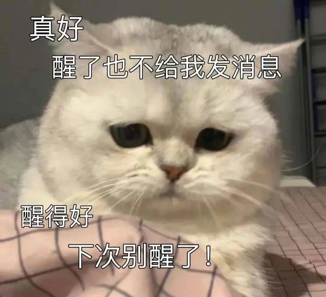 我和小猫咪都笑了