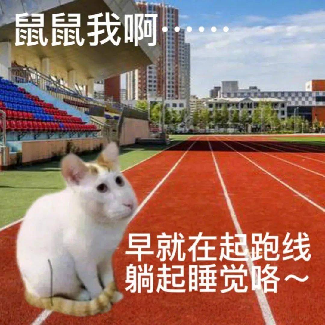 眼泪偶尔会莫名的关顾表情包