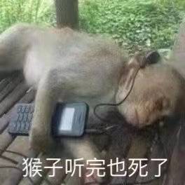 猴子听完也死了表情包