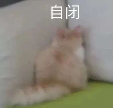 我就是那个大怨种