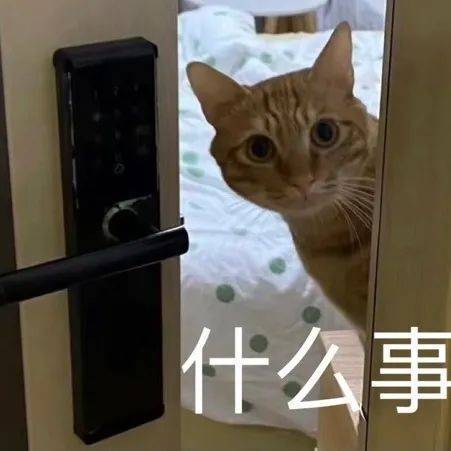 来，试试看