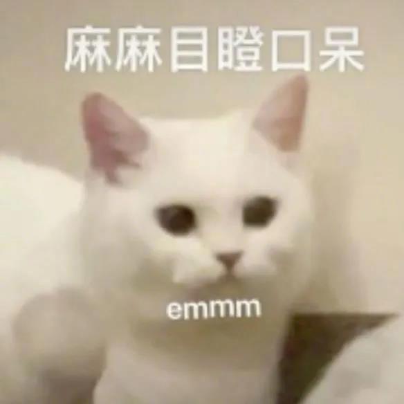 猪猪，什么事？表情包