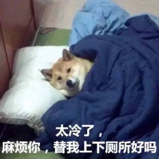 天冷 记得添衣哦~表情包